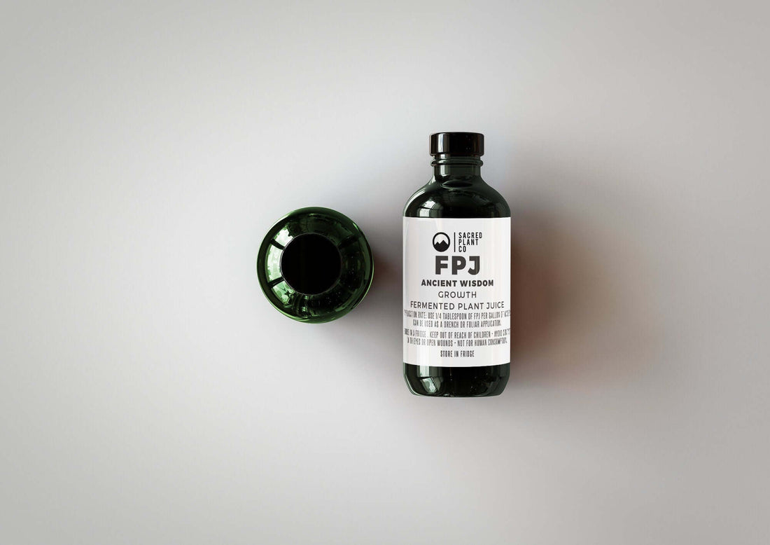 Overhead view of our Ancient Wisdom GROWTH - FPJ bottle, capturing the distinct branding of our Low Water Colorado Mountain Herb Farm products