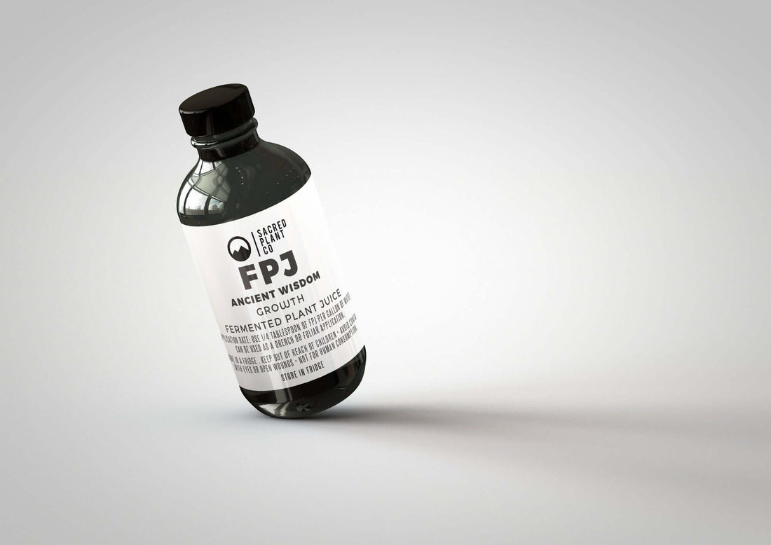 Bottle of Ancient Wisdom GROWTH - a potent Fermented Plant Juice (FPJ) product nurtured at Low Water Colorado Mountain Herb Farm