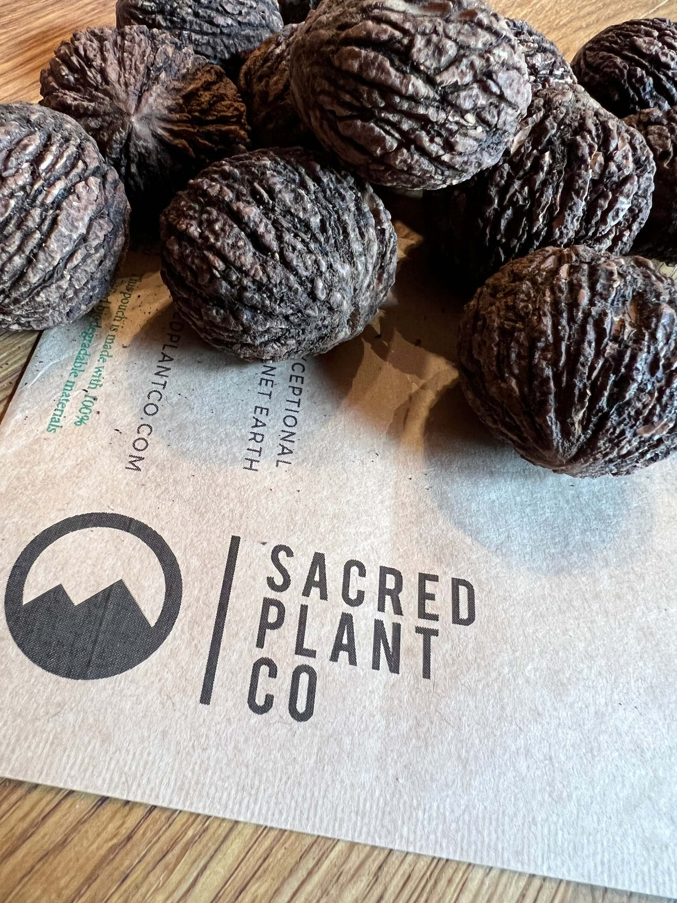 Black Walnut Tree Seeds | Walnut Tree Seeds | Northern Black Walnut Seeds | Juglans nigra Seeds | Northern Tree Seeds |