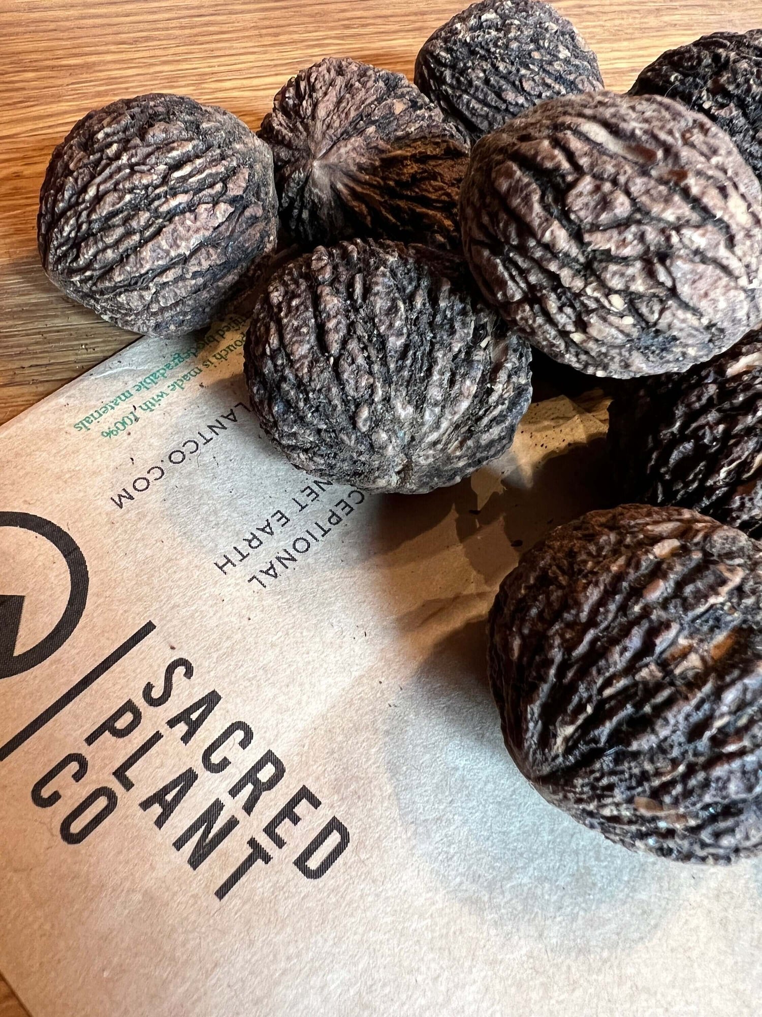 planting black walnuts from seed Black Walnut Tree Seeds | Walnut Tree Seeds