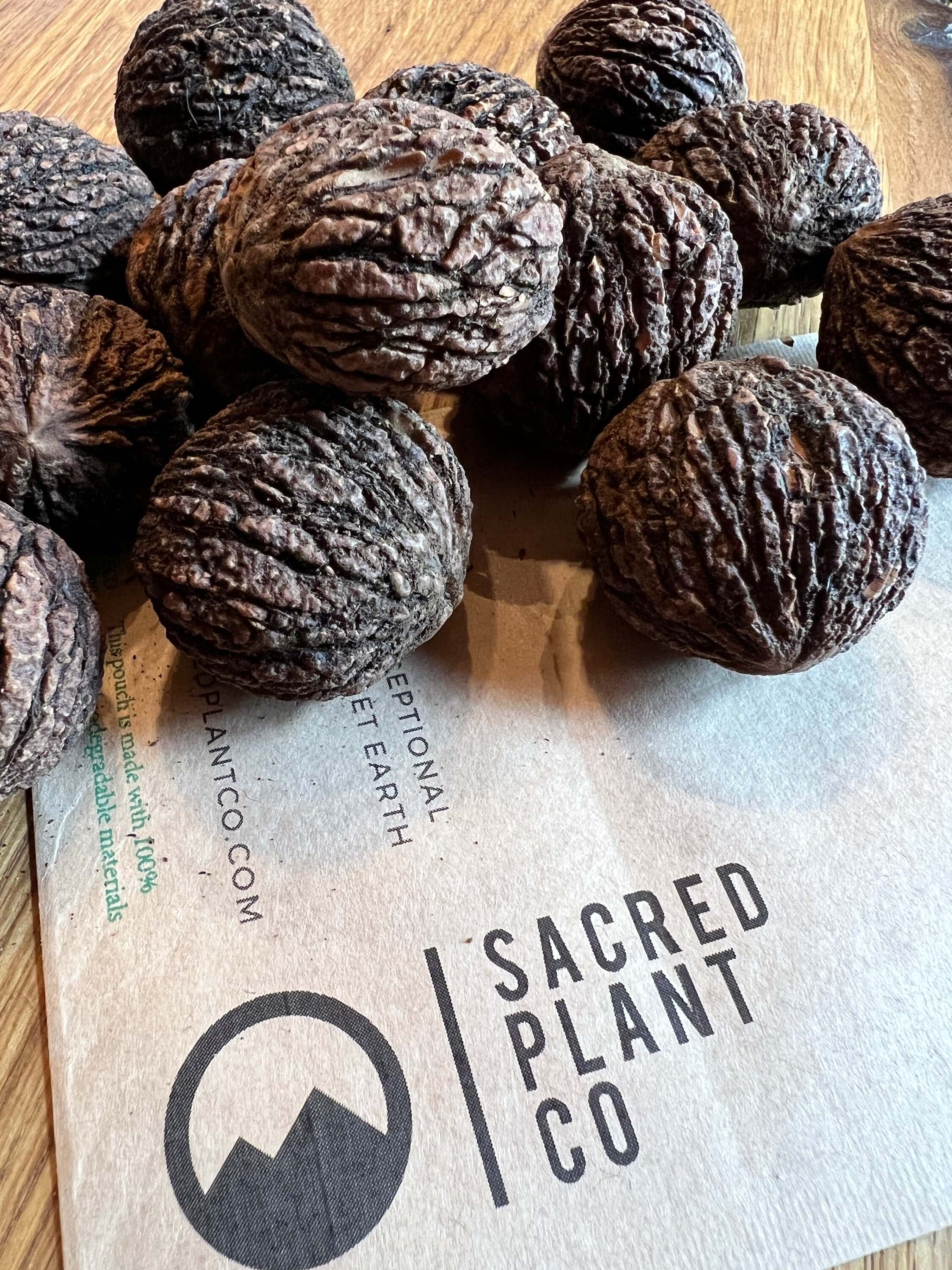 Black Walnut Tree Seeds | Walnut Tree Seeds | Northern Black Walnut Seeds | Juglans nigra Seeds | Northern Tree Seeds |