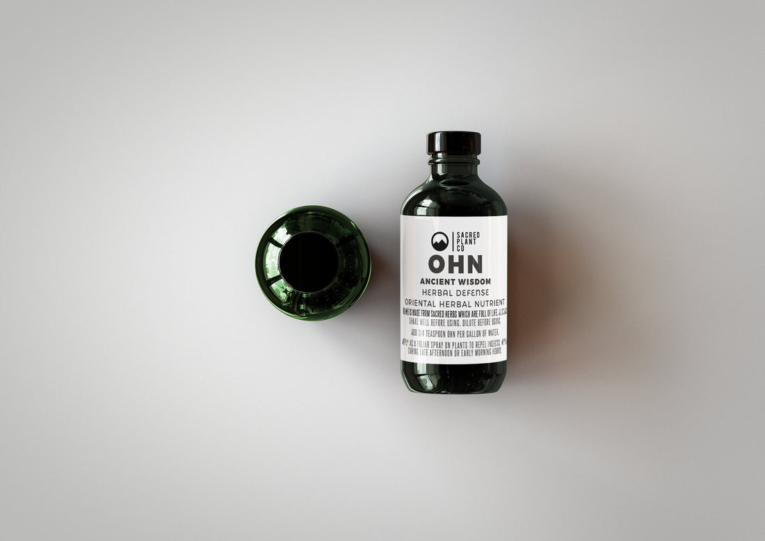 Overhead shot of our HERBAL DEFENSE - OHN bottle, a testament to the diverse offerings of Low Water Colorado Mountain Herb Farm