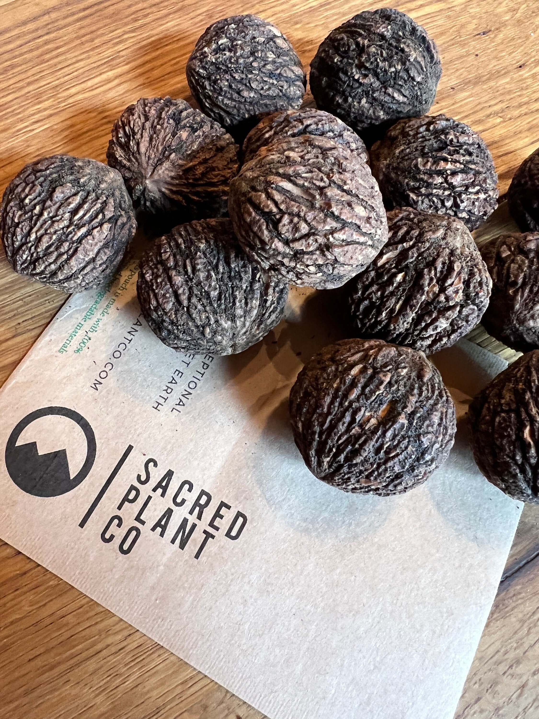 Black Walnut Tree Seeds | Walnut Tree Seeds | Northern Black Walnut Seeds | Juglans nigra Seeds | Northern Tree Seeds |