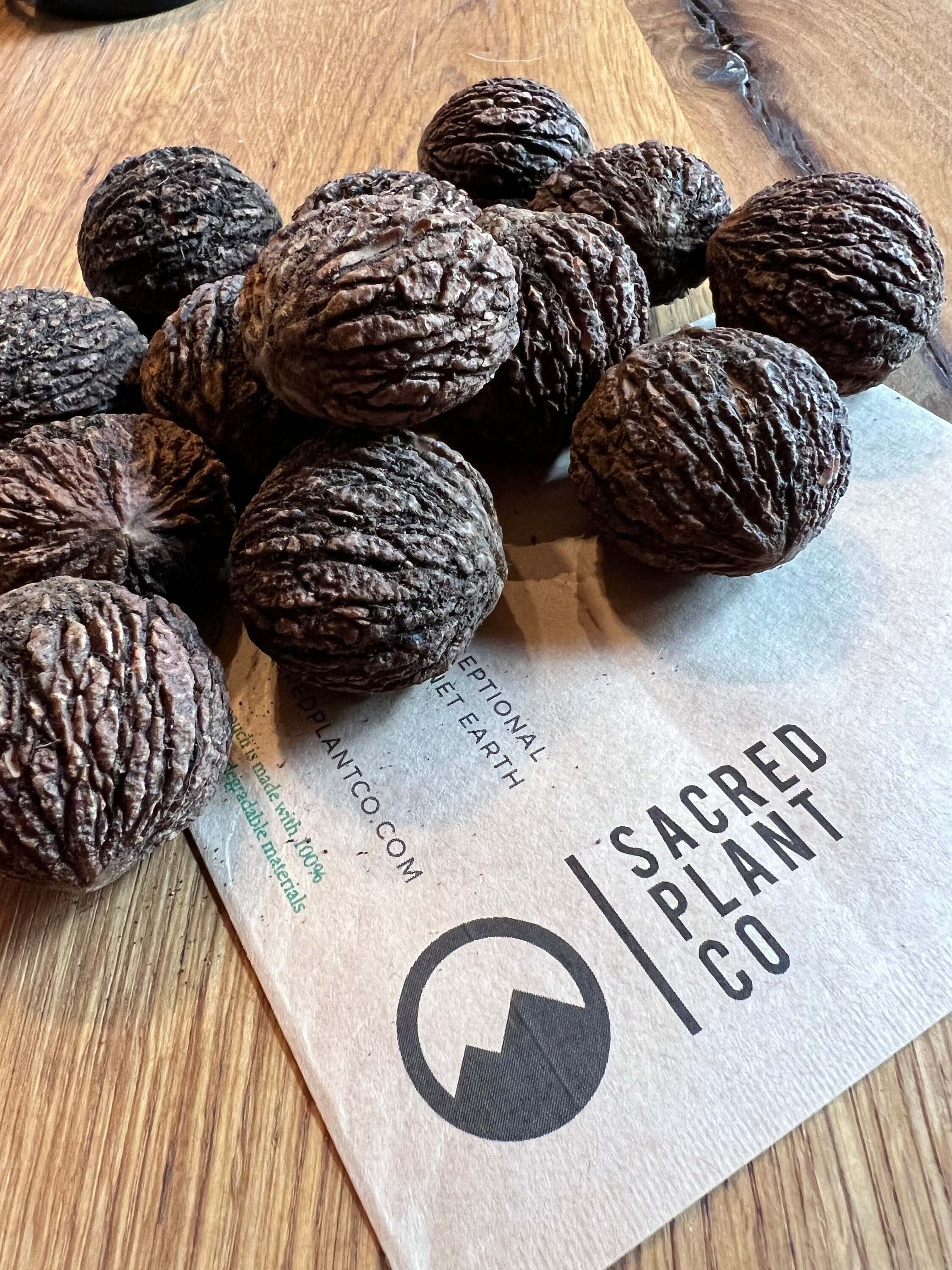 Black Walnut Tree Seeds | Walnut Tree Seeds | Northern Black Walnut Seeds | Juglans nigra Seeds | Northern Tree Seeds |